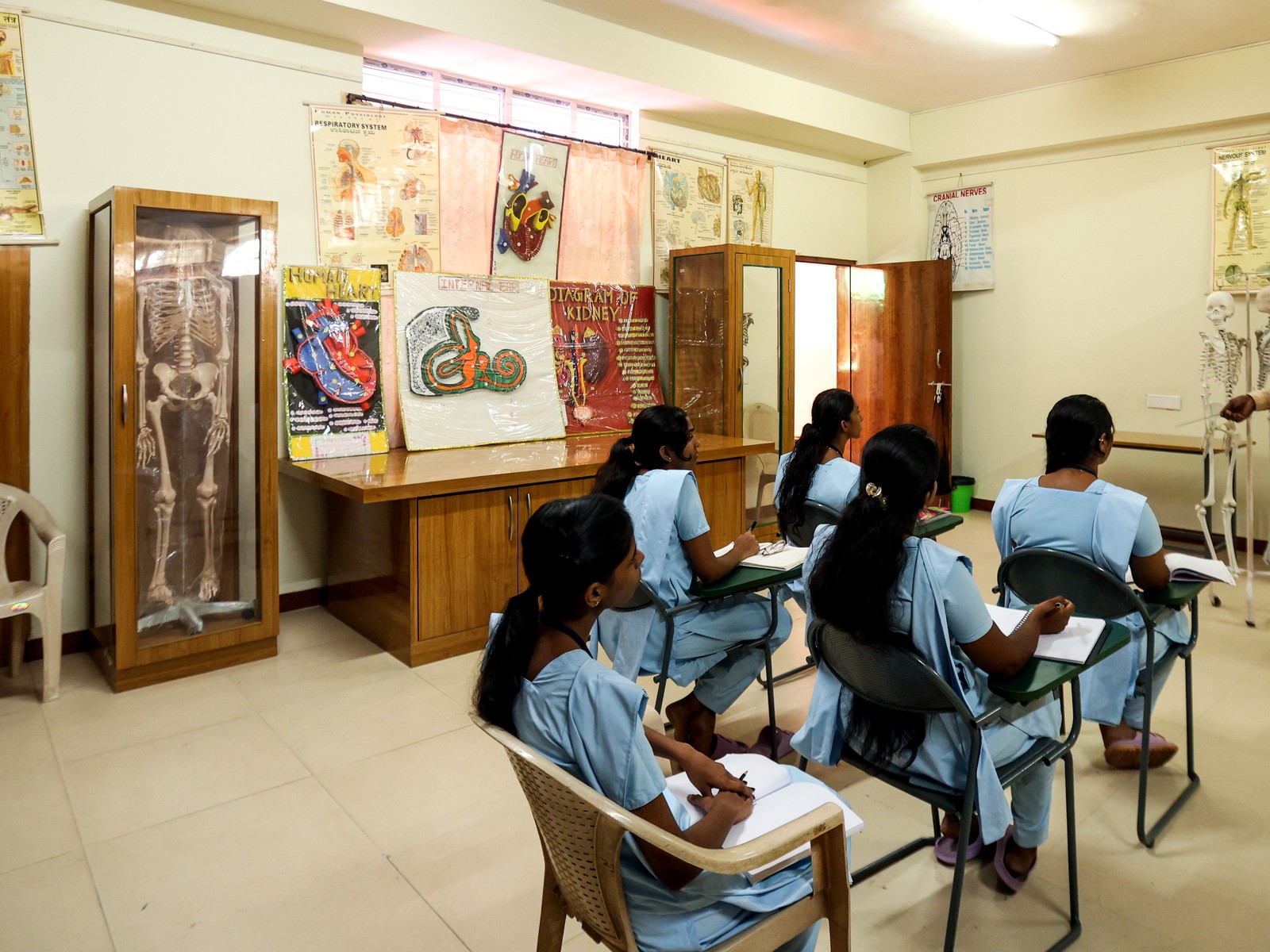 Anatomy teaching session for undergraduate nursing education
